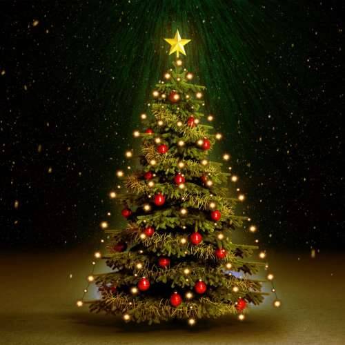 Mrežasta rasvjeta za božićno drvce sa 150 LED žarulja 150 cm Cijena