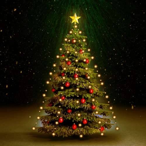 Mrežna rasvjeta za božićno drvce s 210 LED žarulja 210 cm Cijena