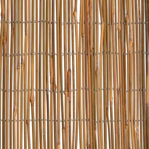 Ograda od bambusa 500 x 100 cm Cijena