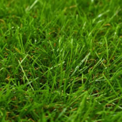 Umjetna trava 1 x 15 m / 40 mm zelena Cijena