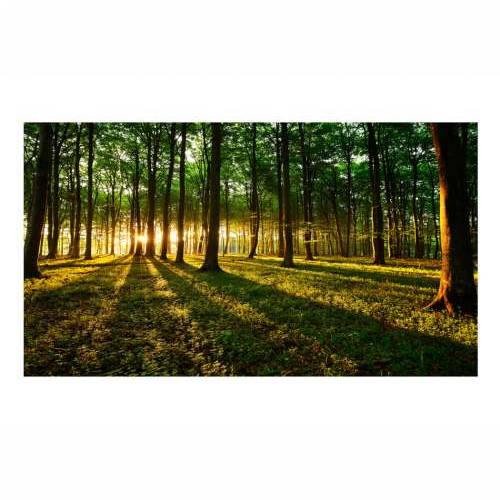 Foto tapeta XXL - Mystical Morning II 500x280 Cijena