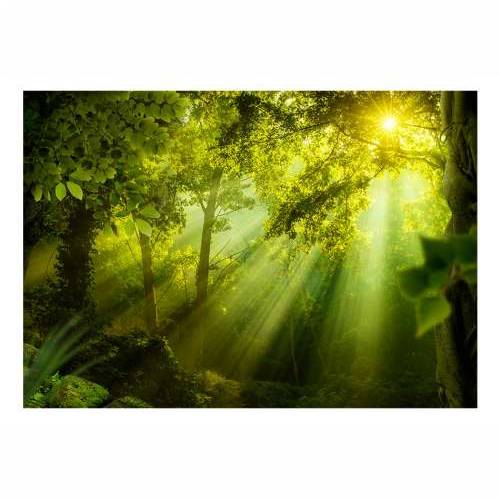 Samoljepljiva foto tapeta -  In a Secret Forest 196x140 Cijena