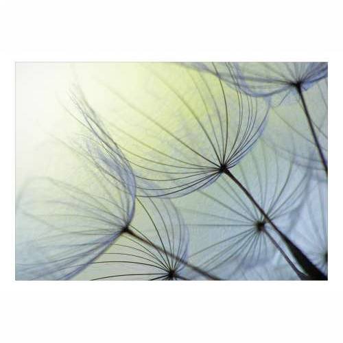 Samoljepljiva foto tapeta - Natural Lightness 196x140 Cijena