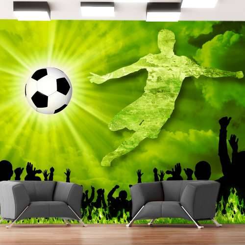 Foto tapeta - Victory! 100x70 Cijena