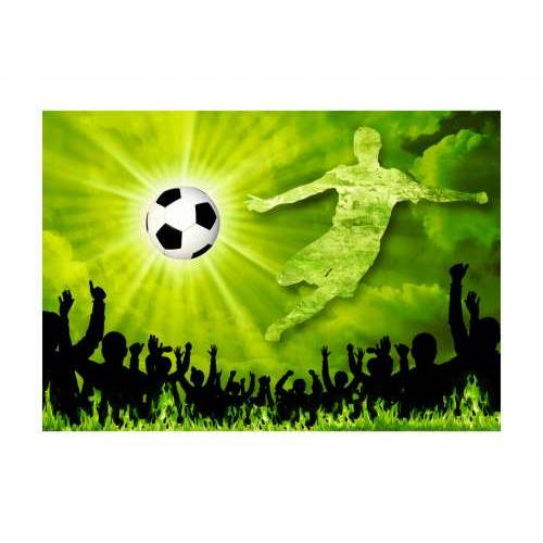 Foto tapeta - Victory! 100x70 Cijena