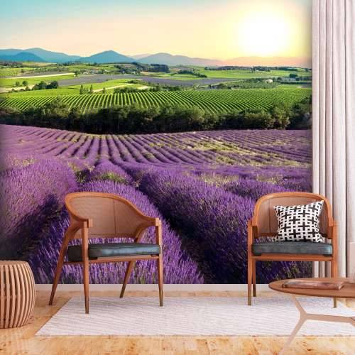 Foto tapeta - Lavender Field 100x70 Cijena
