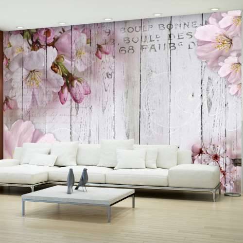 Foto tapeta - Apple Blossoms 200x140 Cijena