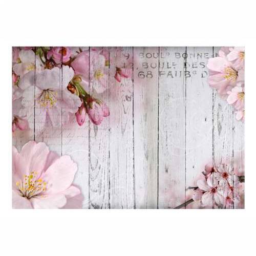 Foto tapeta - Apple Blossoms 200x140 Cijena