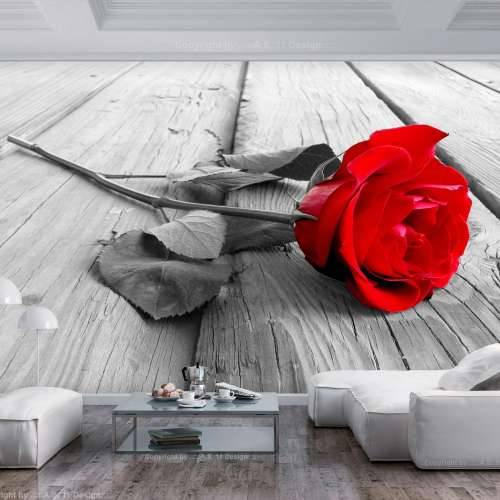 Foto tapeta - Abandoned Rose 350x245