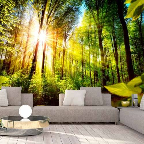 Samoljepljiva foto tapeta - Forest Hideout 98x70 Cijena