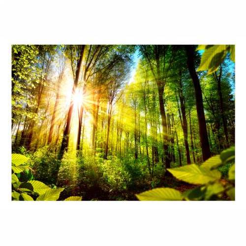 Samoljepljiva foto tapeta - Forest Hideout 98x70 Cijena
