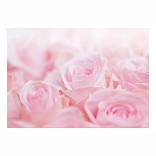 Foto tapeta - Ocean of Roses 100x70 Cijena