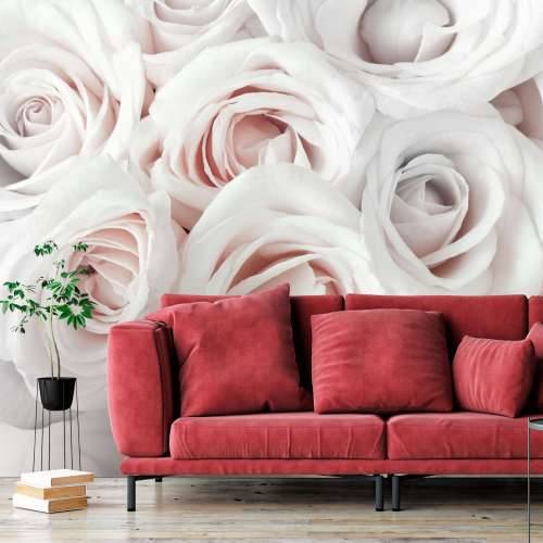Foto tapeta - Satin Rose (Pink) 100x70 Cijena