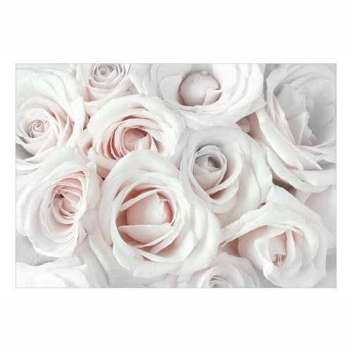 Foto tapeta - Satin Rose (Pink) 400x280 Cijena