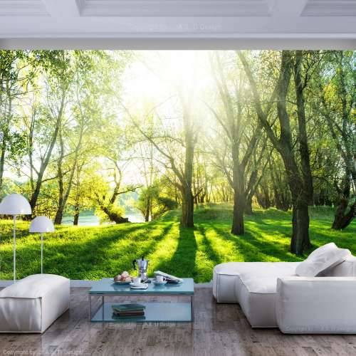 Foto tapeta - Sunny May Day 150x105 Cijena