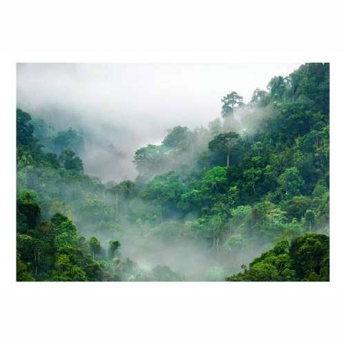 Foto tapeta - Morning Fog 250x175 Cijena