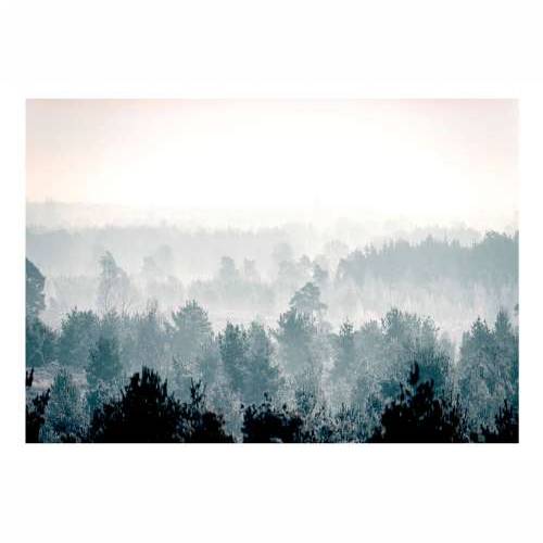Samoljepljiva foto tapeta - Winter Forest 147x105 Cijena