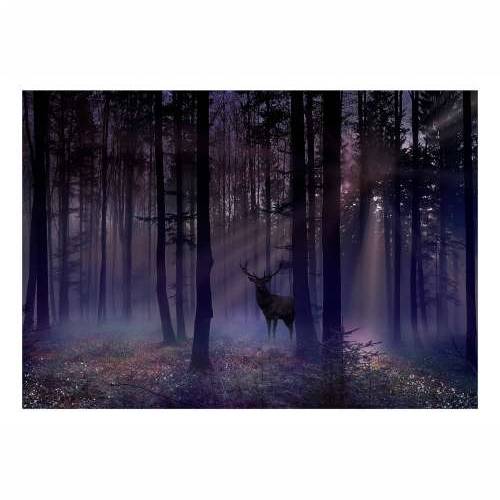 Foto tapeta - Mystical Forest - Second Variant 400x280 Cijena