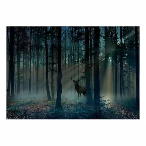 Foto tapeta - Mystical Forest - Third Variant 400x280 Cijena