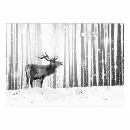 Samoljepljiva foto tapeta - Deer in the Snow (Black and White) 98x70 Cijena
