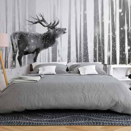 Samoljepljiva foto tapeta - Deer in the Snow (Black and White) 196x140 Cijena