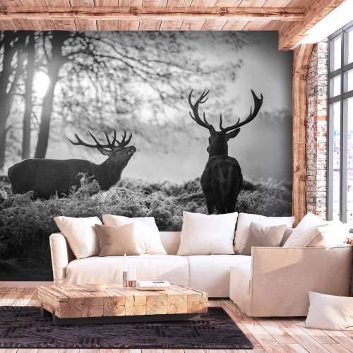 Samoljepljiva foto tapeta - Deers in the Morning 441x315 Cijena