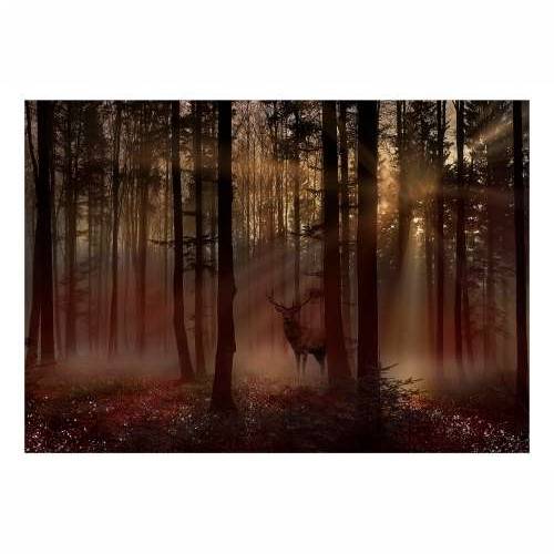 Samoljepljiva foto tapeta - Mystical Forest - First Variant 98x70 Cijena