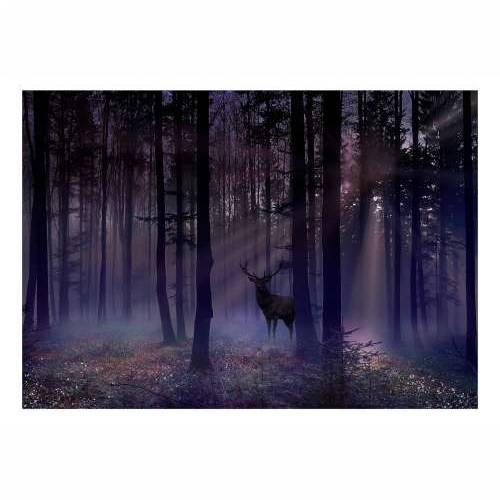Samoljepljiva foto tapeta - Mystical Forest - Second Variant 98x70 Cijena