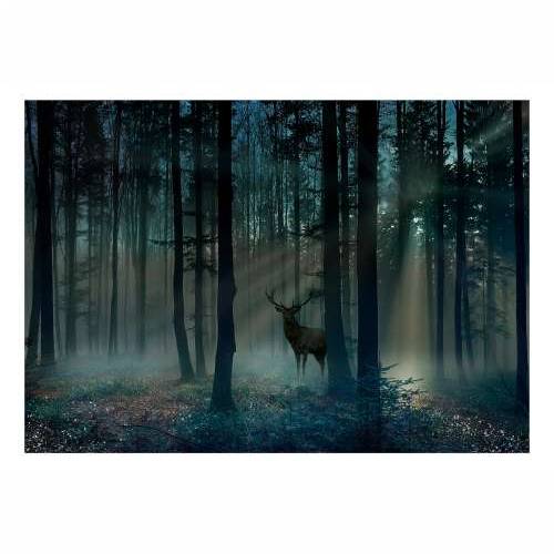 Samoljepljiva foto tapeta - Mystical Forest - Third Variant 147x105 Cijena
