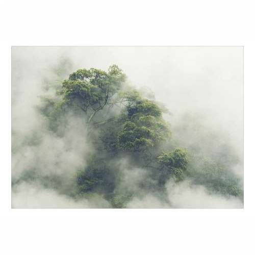 Samoljepljiva foto tapeta - Foggy Amazon 98x70 Cijena