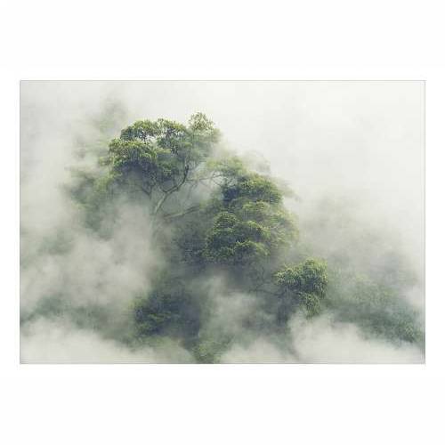 Samoljepljiva foto tapeta - Foggy Amazon 147x105 Cijena