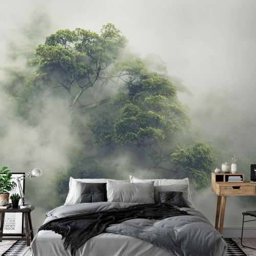 Samoljepljiva foto tapeta - Foggy Amazon 245x175 Cijena