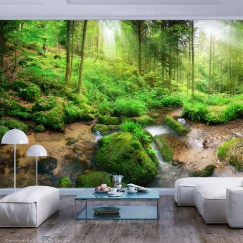 Samoljepljiva foto tapeta - Humid Forest 294x210 Cijena