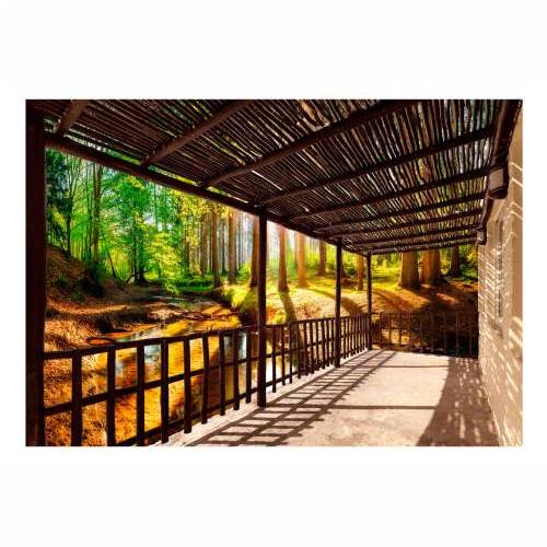 Foto tapeta - Getting Back to Nature 150x105 Cijena