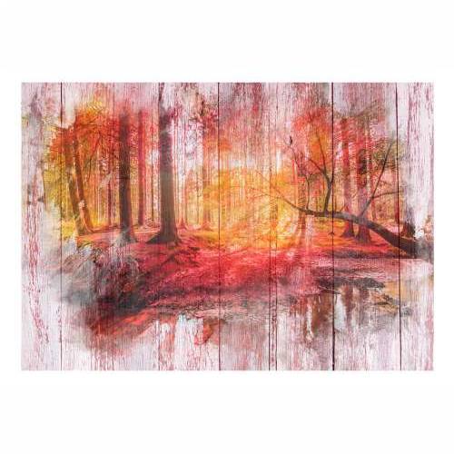 Foto tapeta - Autumnal Forest 100x70 Cijena