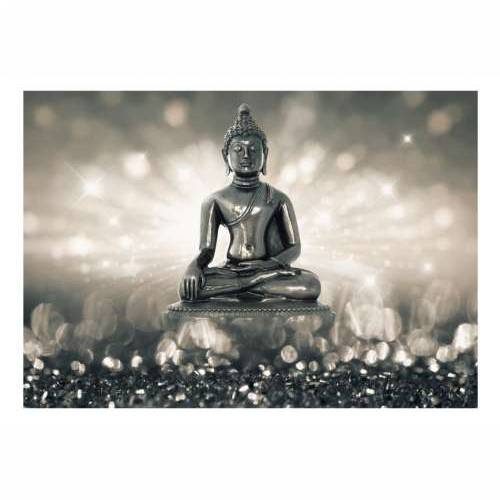 Samoljepljiva foto tapeta - Silver Buddha 294x210 Cijena