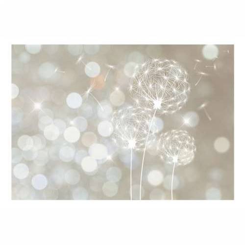 Foto tapeta - The Ballad of Beauty 250x175 Cijena