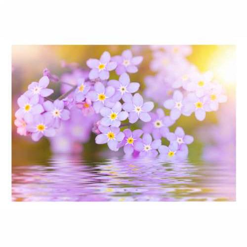 Foto tapeta -  Violet Petals In Bloom 200x140 Cijena