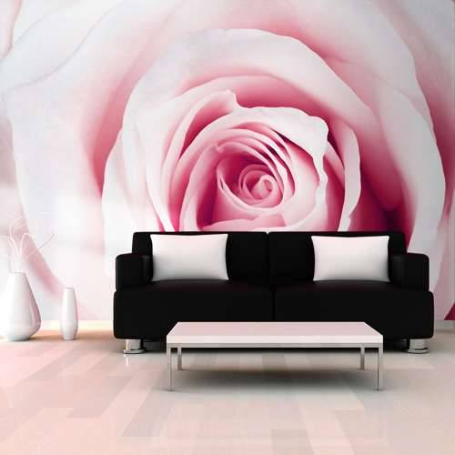 Foto tapeta - Rose maze 250x175 Cijena