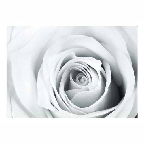Foto tapeta - Rose charade 200x140 Cijena
