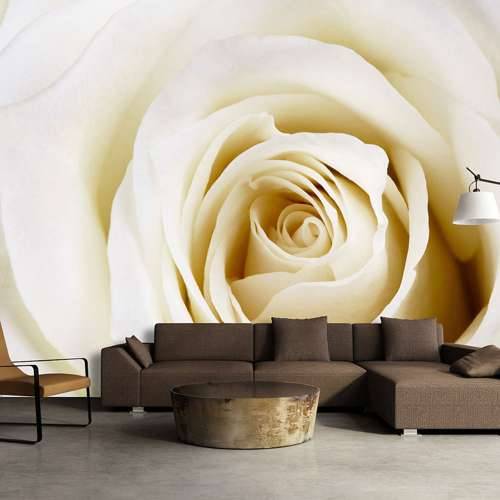 Foto tapeta - Pearl maze 400x280 Cijena