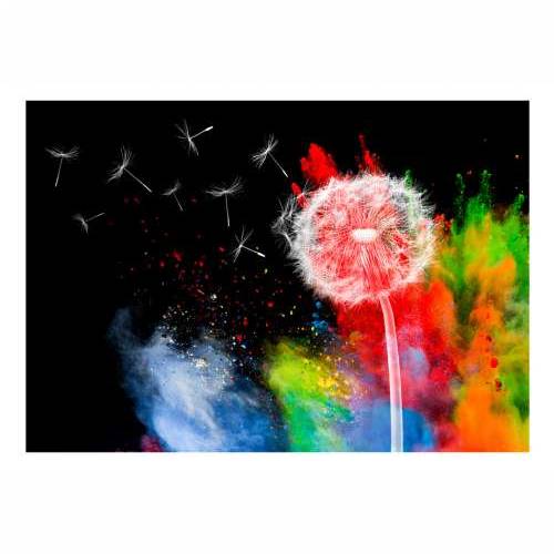Foto tapeta - Colourful Element 250x175 Cijena