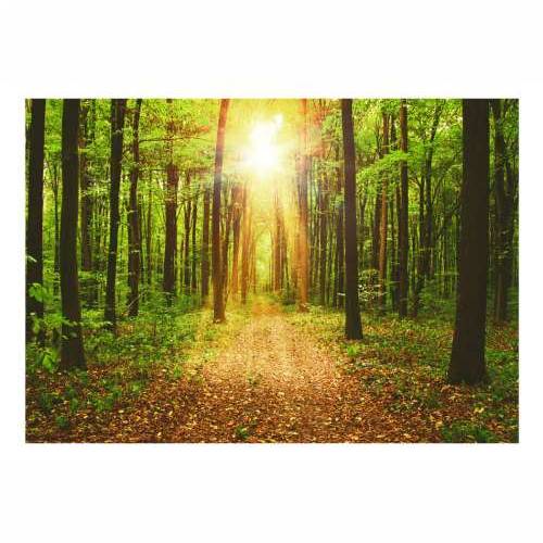 Foto tapeta - Mirror of Nature  100x70 Cijena