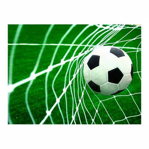Foto tapeta - Goal! 200x154 Cijena