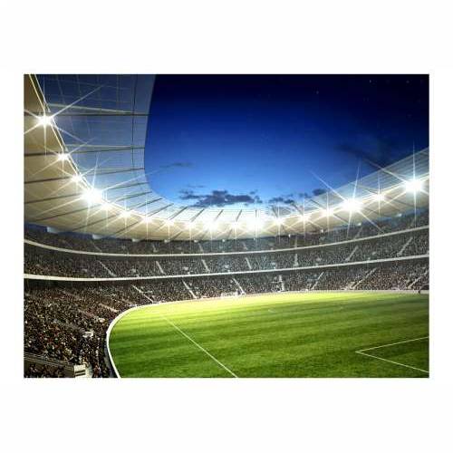 Foto tapeta - National stadium 400x309 Cijena