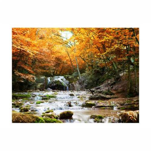 Foto tapeta - autumn - waterfall 200x154 Cijena
