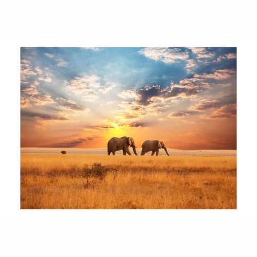 Foto tapeta - African savanna elephants 200x154 Cijena