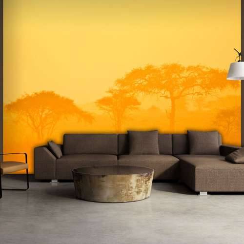 Foto tapeta - Orange savanna 200x154 Cijena