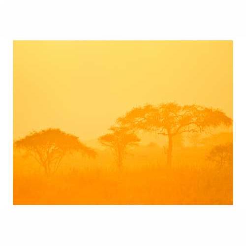 Foto tapeta - Orange savanna 200x154 Cijena