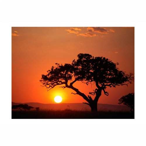 Foto tapeta - Africa: sunset 200x154 Cijena